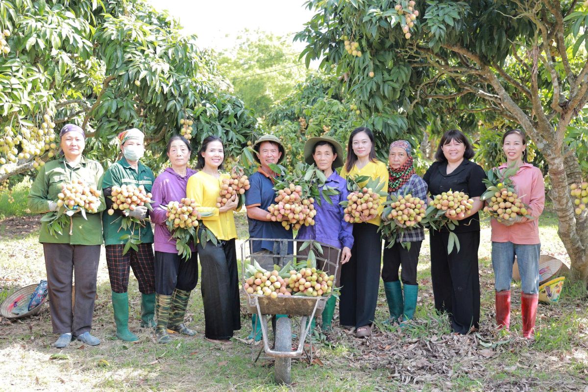 hoat-dong-tham-vuon-vai-dep.mp4