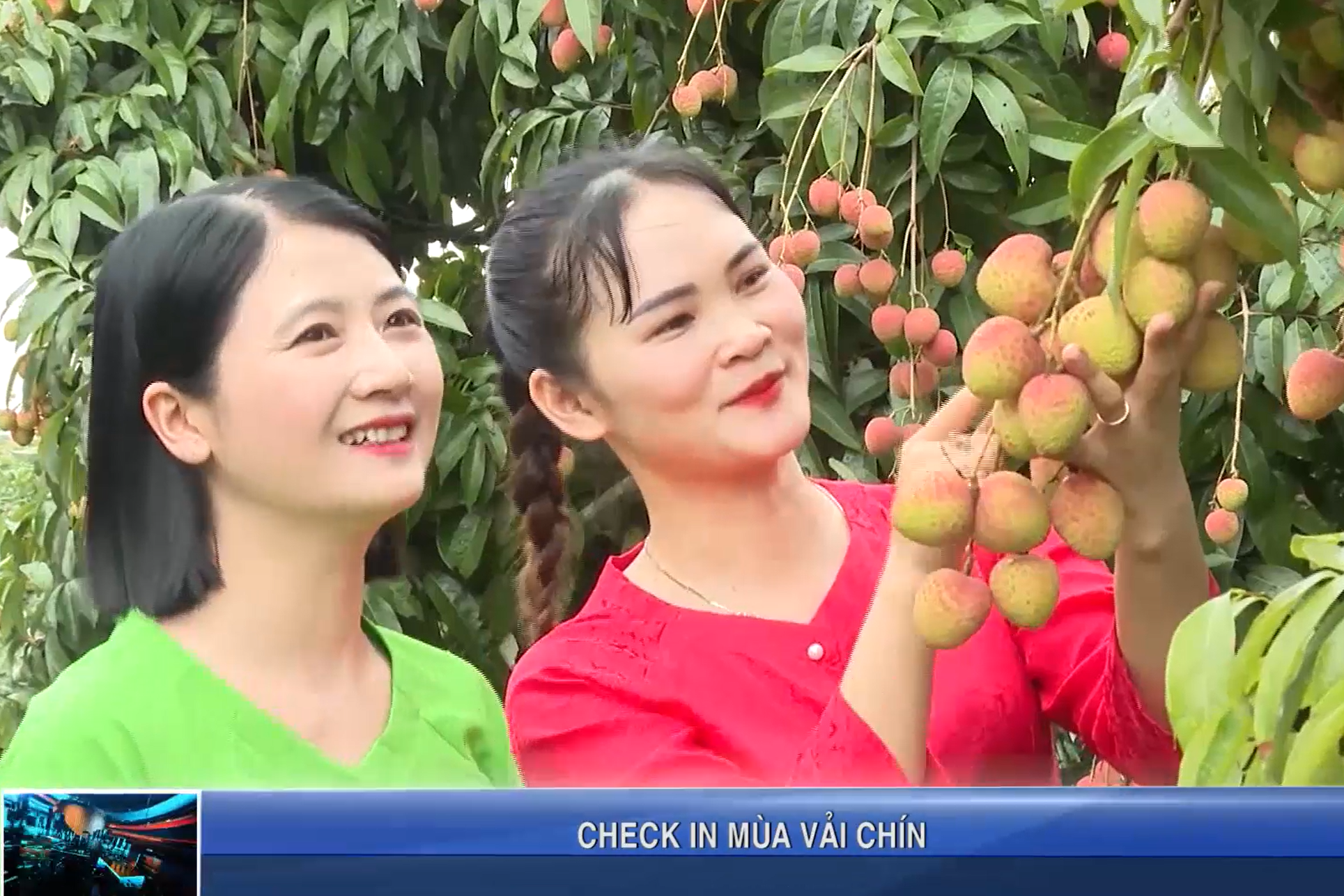 checkin_mua_vai_chin_11560223052026.mp4